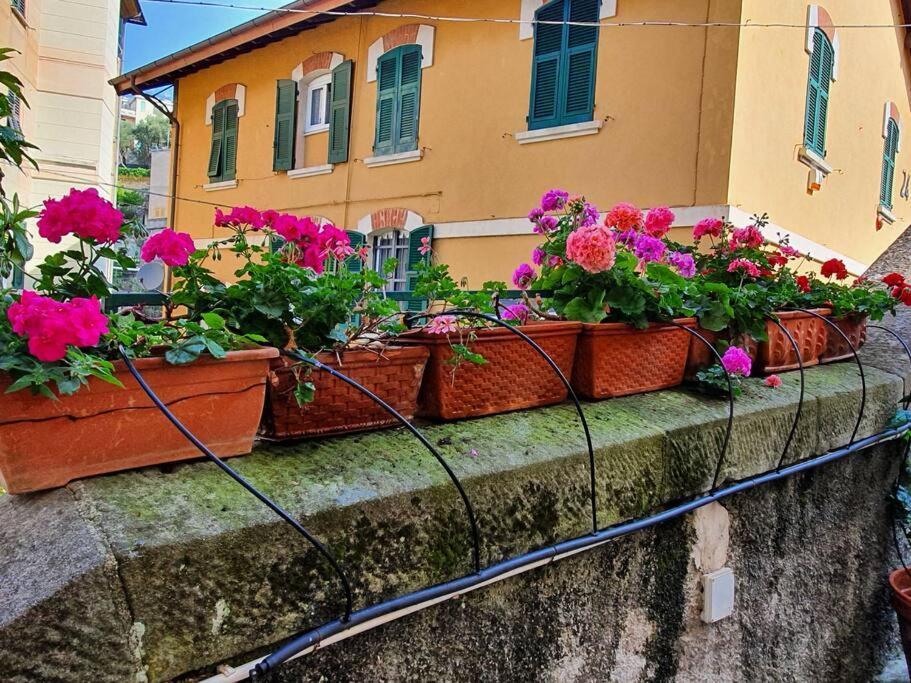 Appartamento Vasto Apt Panoramico 3 Min Mare Camogli Esterno foto